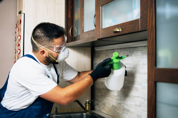 Best Insect Control  in Erwin, TN