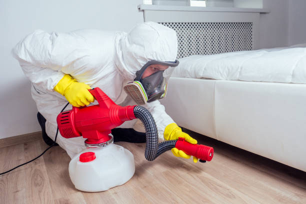 Best Pest Control Near Me in Erwin, TN