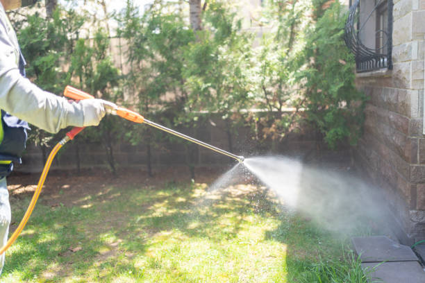 Best Spider Control Near Me  in Erwin, TN
