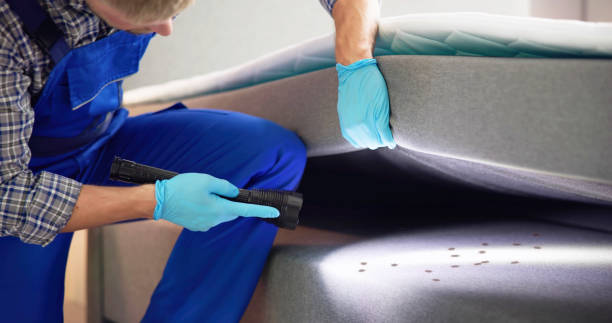Best Cockroach Control Services  in Erwin, TN