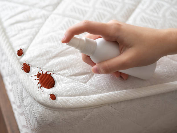 Best Pest Removal Services  in Erwin, TN