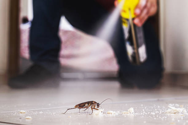 Best Commercial Pest Control Services  in Erwin, TN